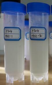 NatFibra 15% 大豆油模型样品