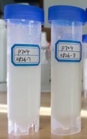 NatFibra 20% 大豆油模型样品