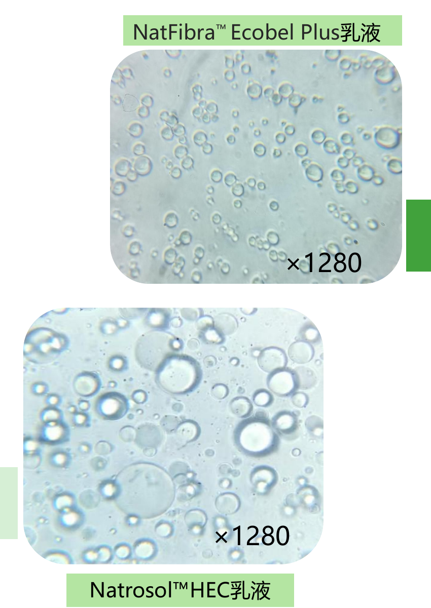 Ecobel Plus 与 HEC 对照乳液显微结构