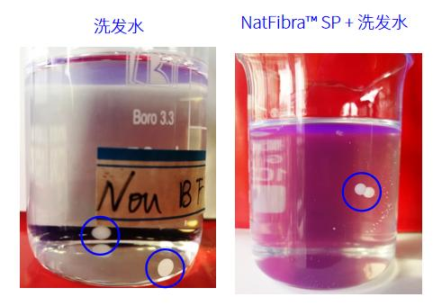 基础洗发水与加入 NatFibra SP 后的尼龙珠悬浮对比