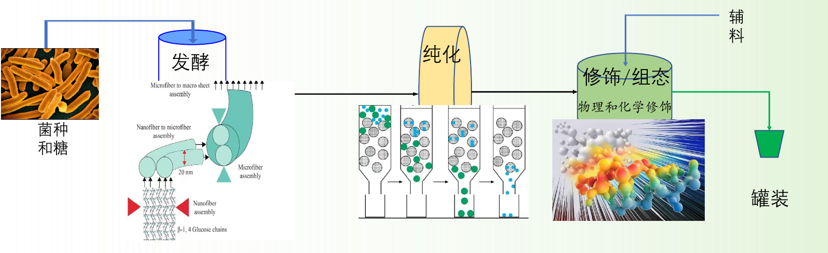 生物纤维素发酵、纯化、组态及灌装流程