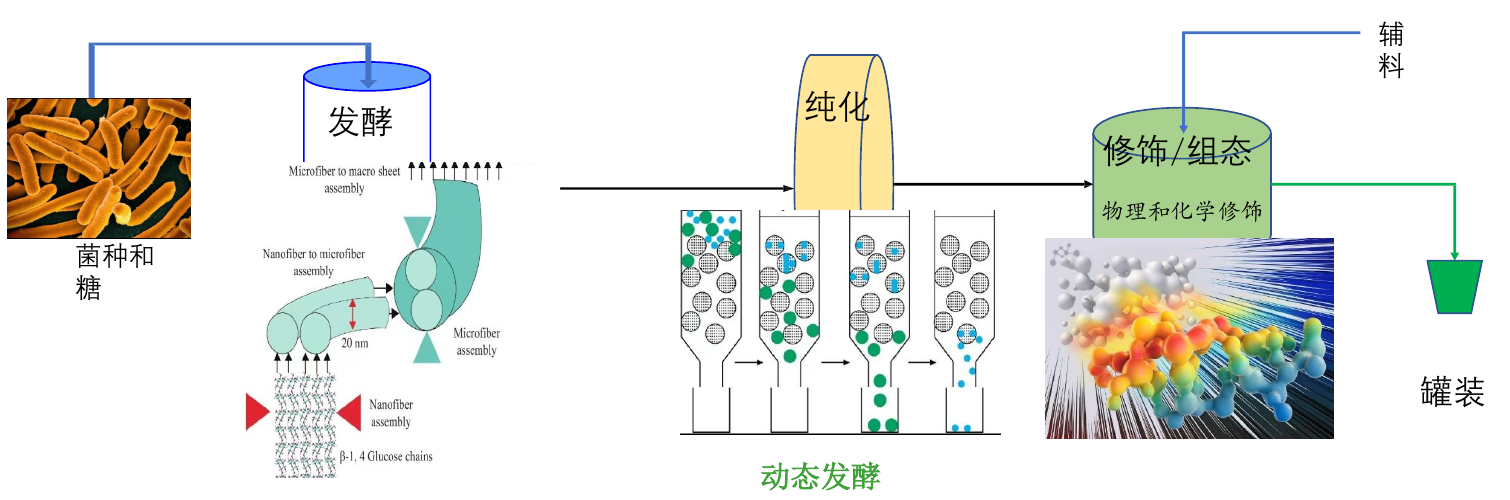 糖源发酵、纤维素纯化、应用组态与灌装流程