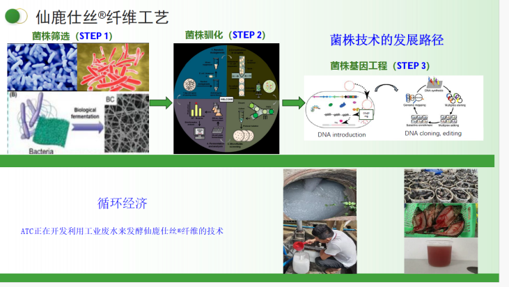 仙鹿仕丝纤维工艺与应用技术资料
